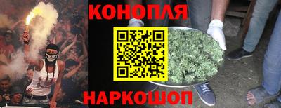 apvp Нальчик