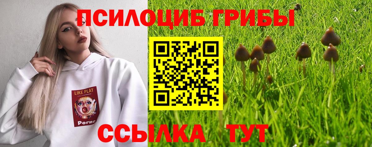 Феодосия  где купить   Вход с VPN  Галлюциногенные грибы мицелий 