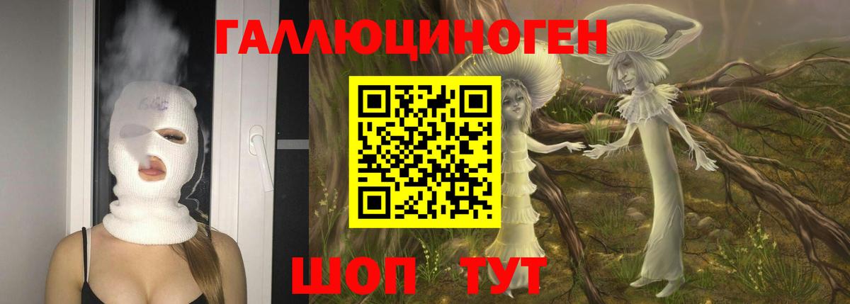 Галлюциногенные грибы Cubensis Феодосия
