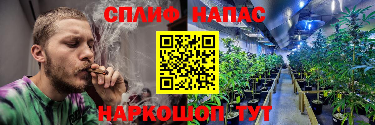 Бошки марихуана сатива Феодосия